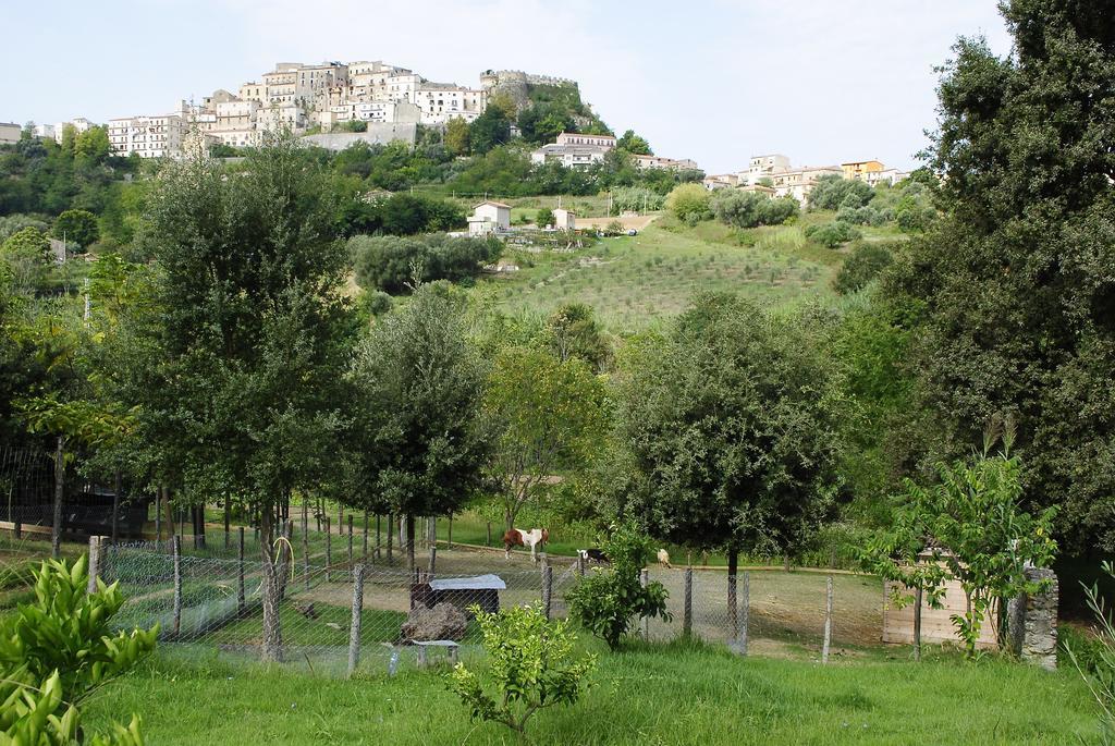 Agriturismo L'Arca Di Anna Brambilla Belvedere Marittimo Bagian luar foto
